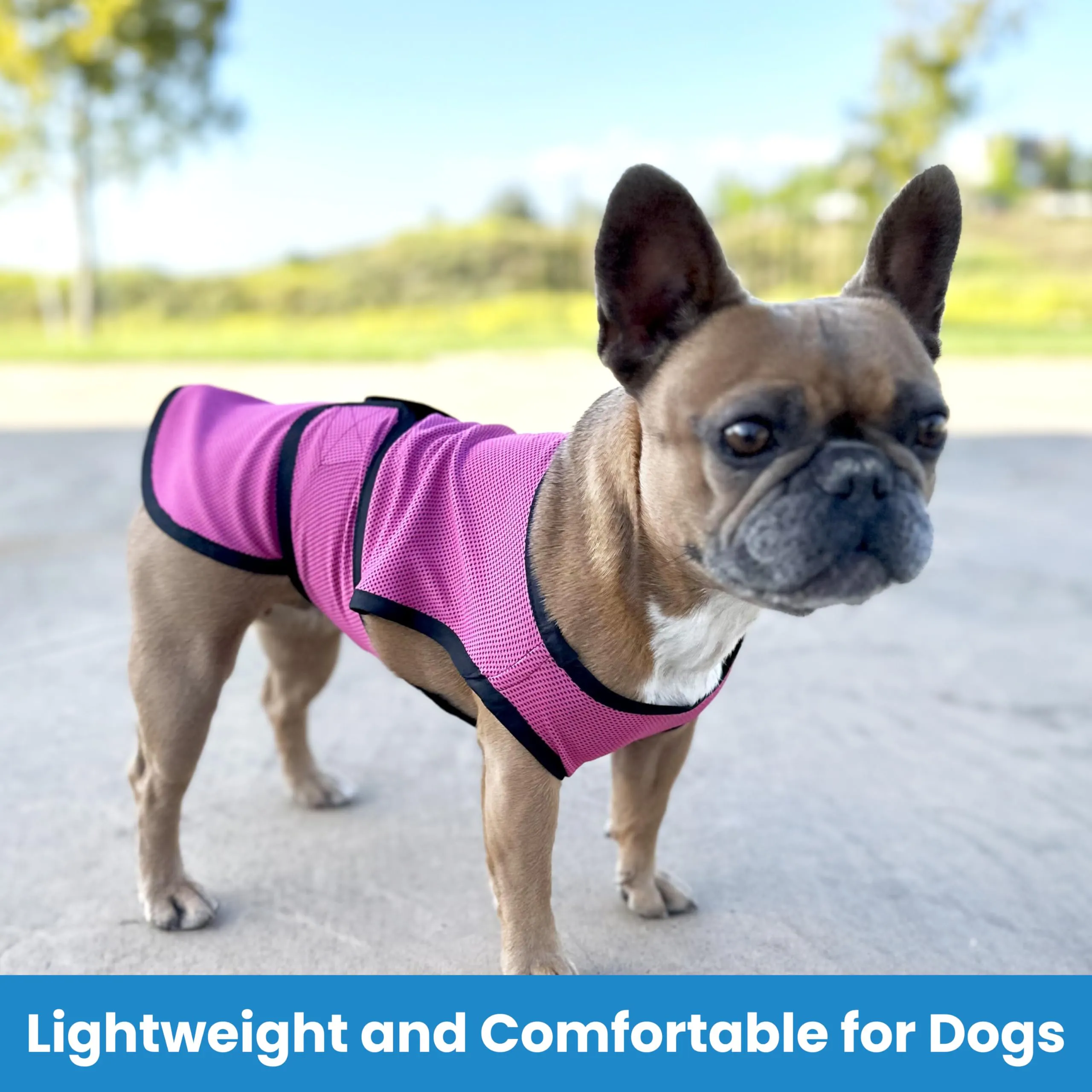 dog cooling vest (5).webp